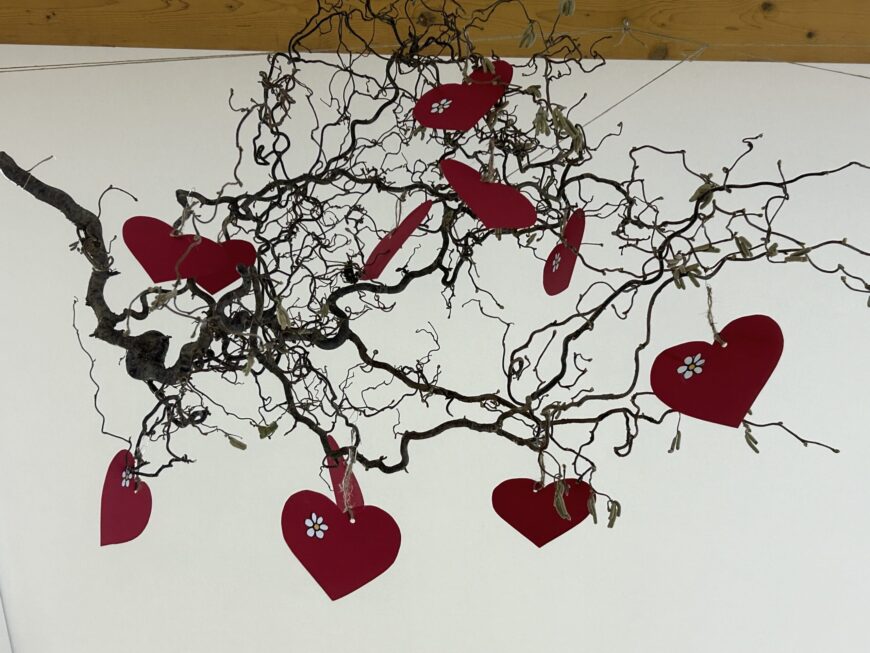 Valentinovo in svetovni dan ozaveščanja o prirojenih srčnih napakah na OŠ Apače